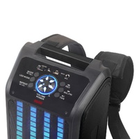 Laser Portable Party Speaker with LED Stand and Karaoke Microphone