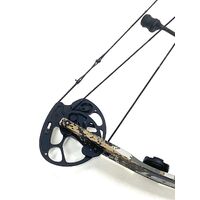 Quest Flexis AR 701B Compound with 12 Arrows in Bag