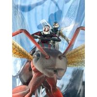 Hot Toys Marvel Ant-Man on Flying Ant and The Wasp Miniature Collectible Set