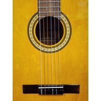 Rainbow CG-101 6 String Classic Acoustic Guitar