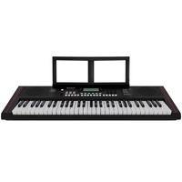 Roland E-X10 Arranger Keyboard 61 Keys 610 Tones Digital Screen Portable