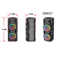 NEW SING-E Dual 8 inch Large Bluetooth RGB Light Outdoor and Indoor Speaker