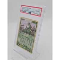 Pokémon TCG 2004 Ex Sceptile Holo #11 Ruby and Sapphire Spanish PSA GEM MT 10