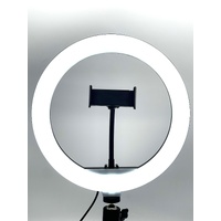 Ring Fill Light 10 Inch CXB-260 Dimmable 3 Light Modes with 11 Level Brightness