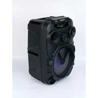 NEW SING-E Colourful LED Flashing Light Portable Subwoofer Party Karaoke Speaker