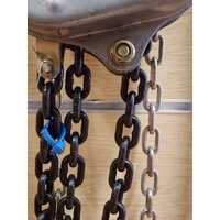 Garrick Industrial Chain Block Load Limited GCBLL01 Overload Protection