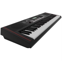 Roland E-X10 Arranger Keyboard 61 Keys 610 Tones Digital Screen Portable