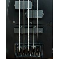 LTD Designed by ESP Orion-5 Signature 5-String RH Electric Bass Guitar 