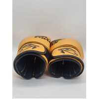 Fairtex Gold Falcon Limited Edition Boxing Gloves Size 12oz