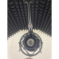 iSK Condenser Microphone with RF-2 Reflection Filter Stand and Headphones