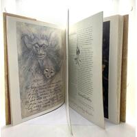 Good Faeries/Bad Faeries Book by Brian Froud Bestselling Author of Faeries