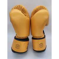 Fairtex Gold Falcon Limited Edition Boxing Gloves Size 12oz