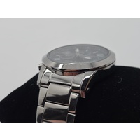 Pierre Cardin Mens Silver Stainless Steel Watch 5532