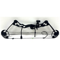 Hori-Zone Vulture 65lbs Compound Bow with 5 Arrows in Case